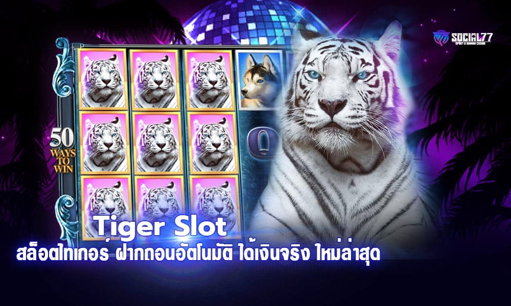 Tiger Slot
