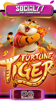 fortune-tiger
