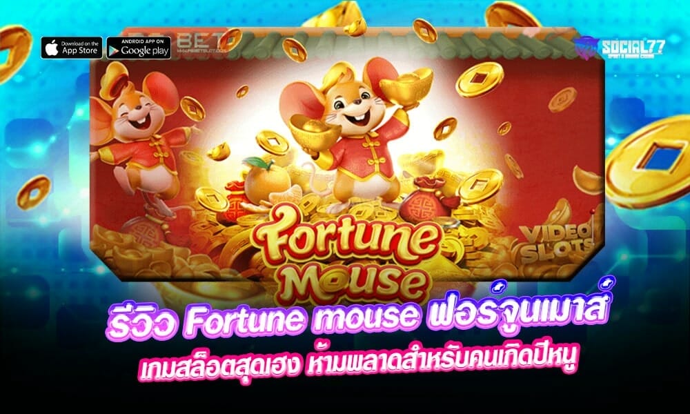 รีวิว-Fortune-mouse-ฟอร์จูนเมาส์