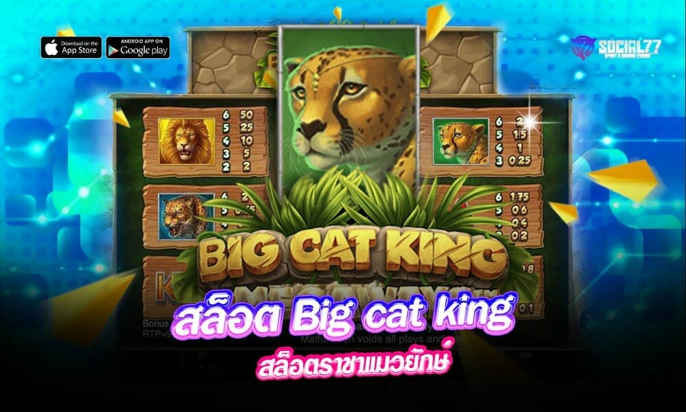 สล็อต-Big-cat-king
